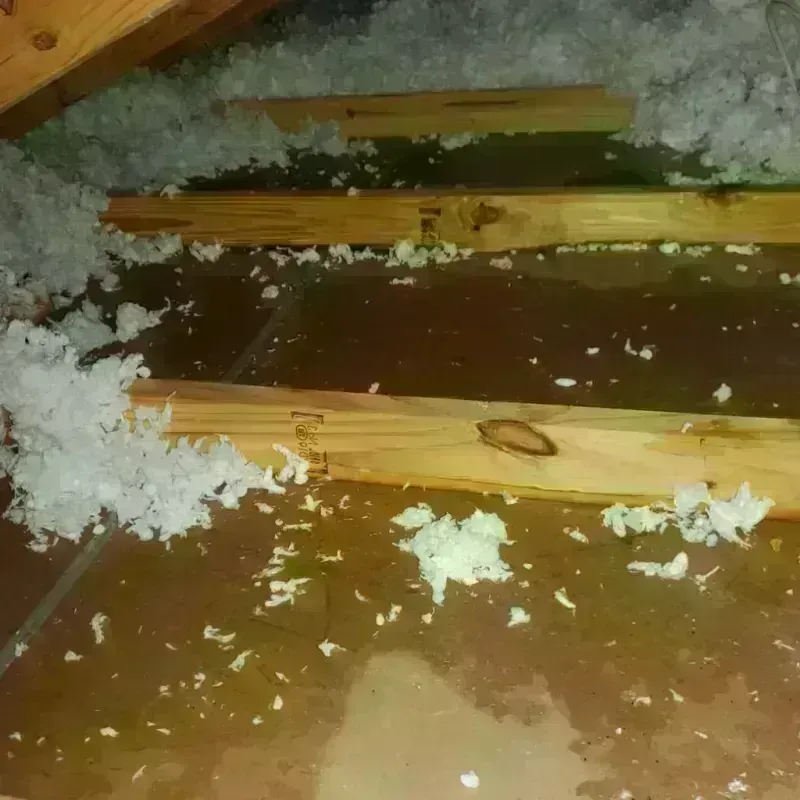 Attic Water Damage in Upton, MA